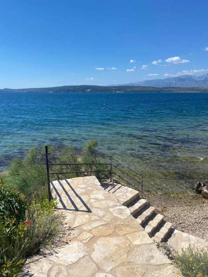 Apartments Mikecin Novigrad  Екстер'єр фото