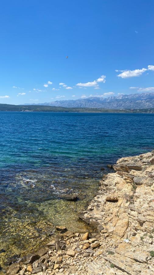 Apartments Mikecin Novigrad  Екстер'єр фото