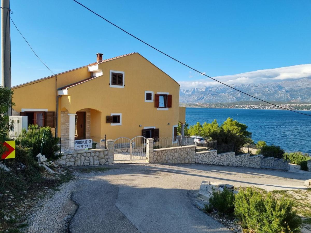 Apartments Mikecin Novigrad  Екстер'єр фото