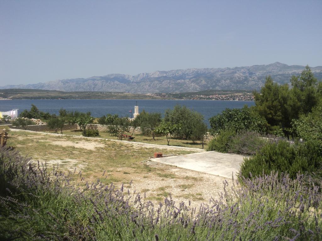 Apartments Mikecin Novigrad  Екстер'єр фото